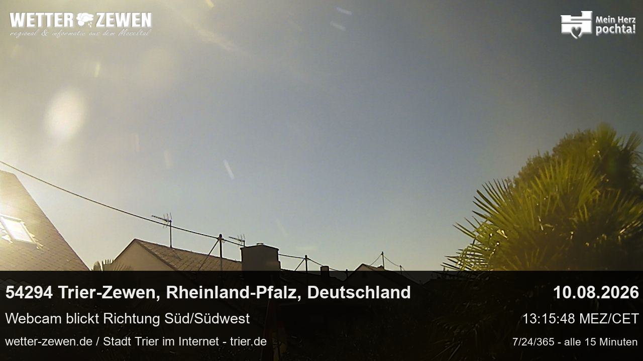 Bild
