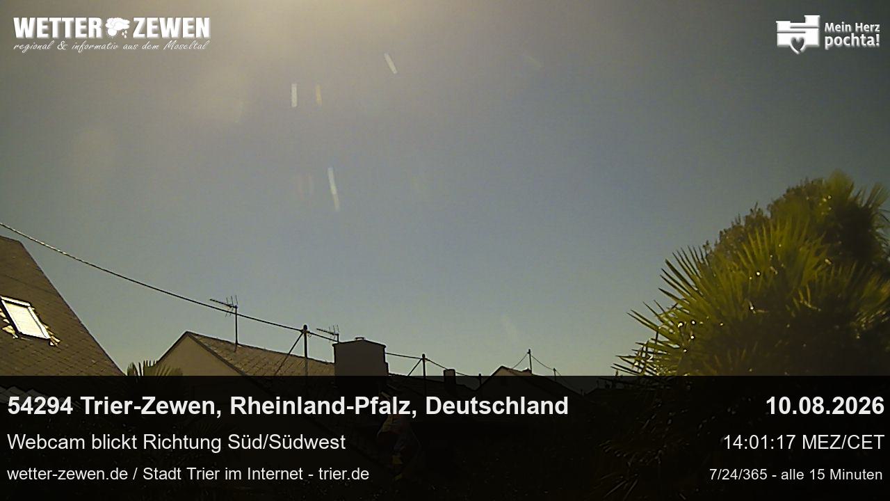 Bild