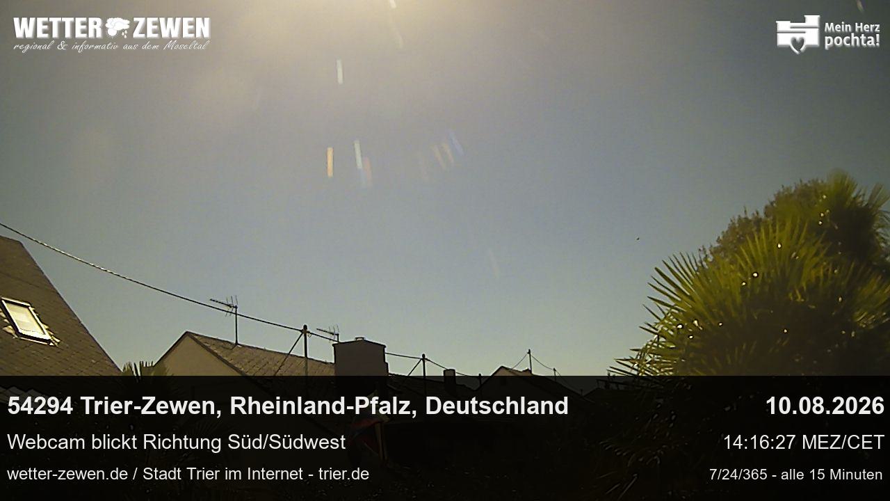 Bild