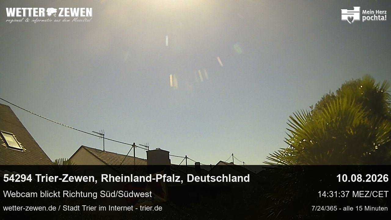Bild