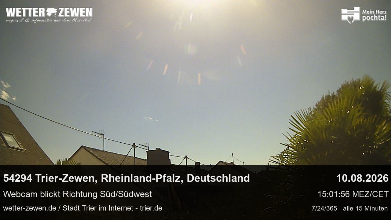 Bild