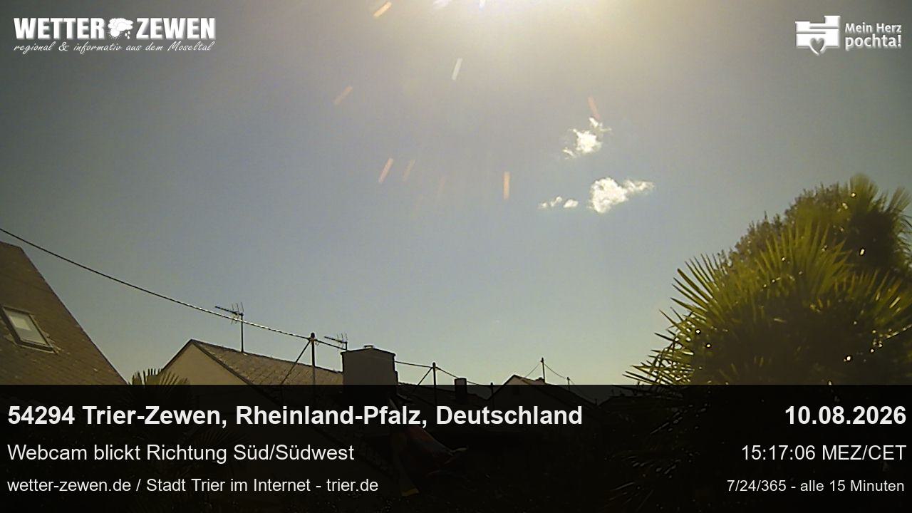 Bild