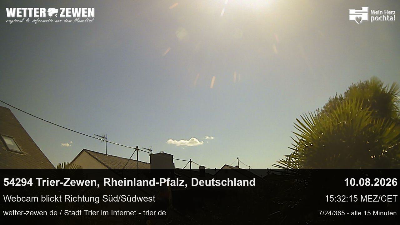 Bild