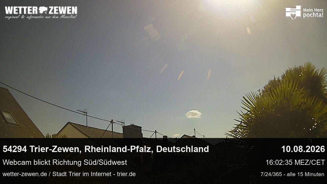 Bild