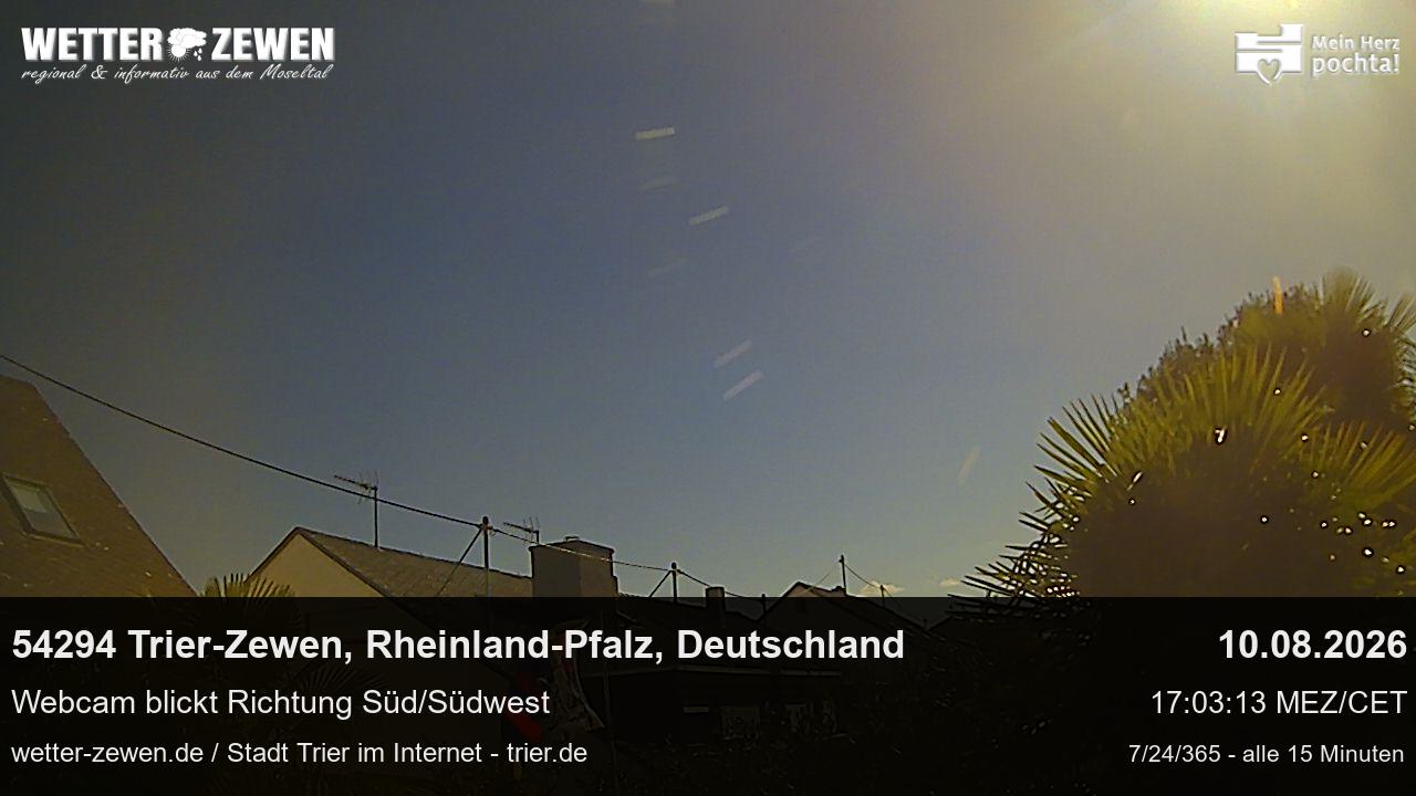 Bild