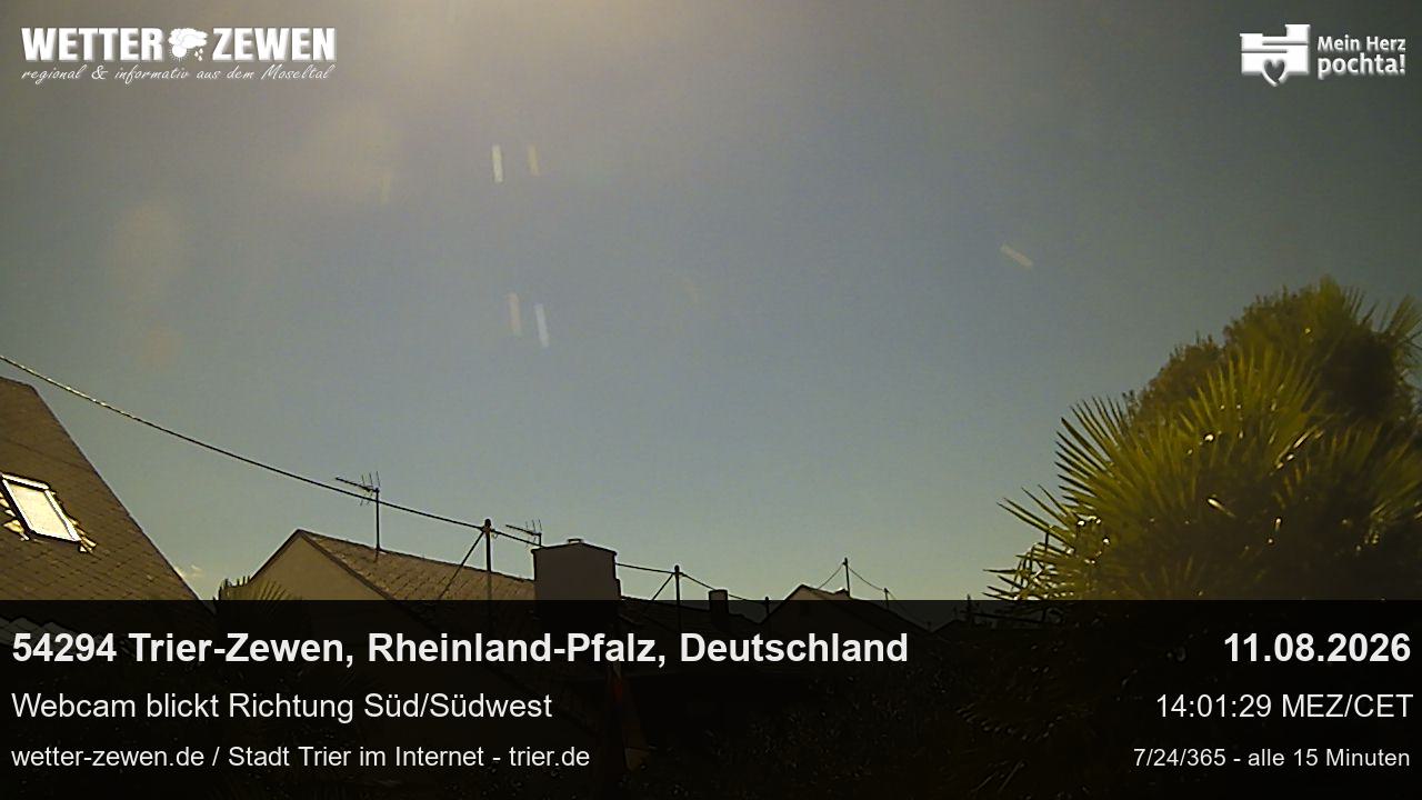 Bild