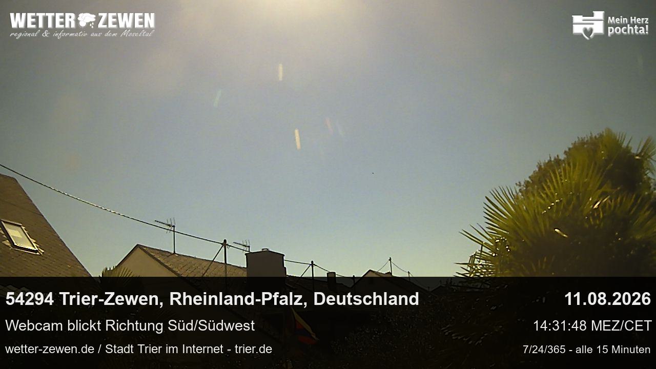 Bild