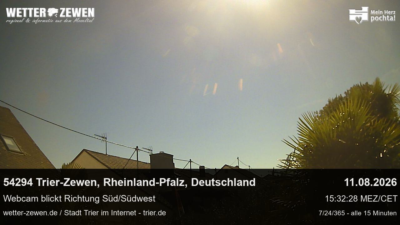 Bild
