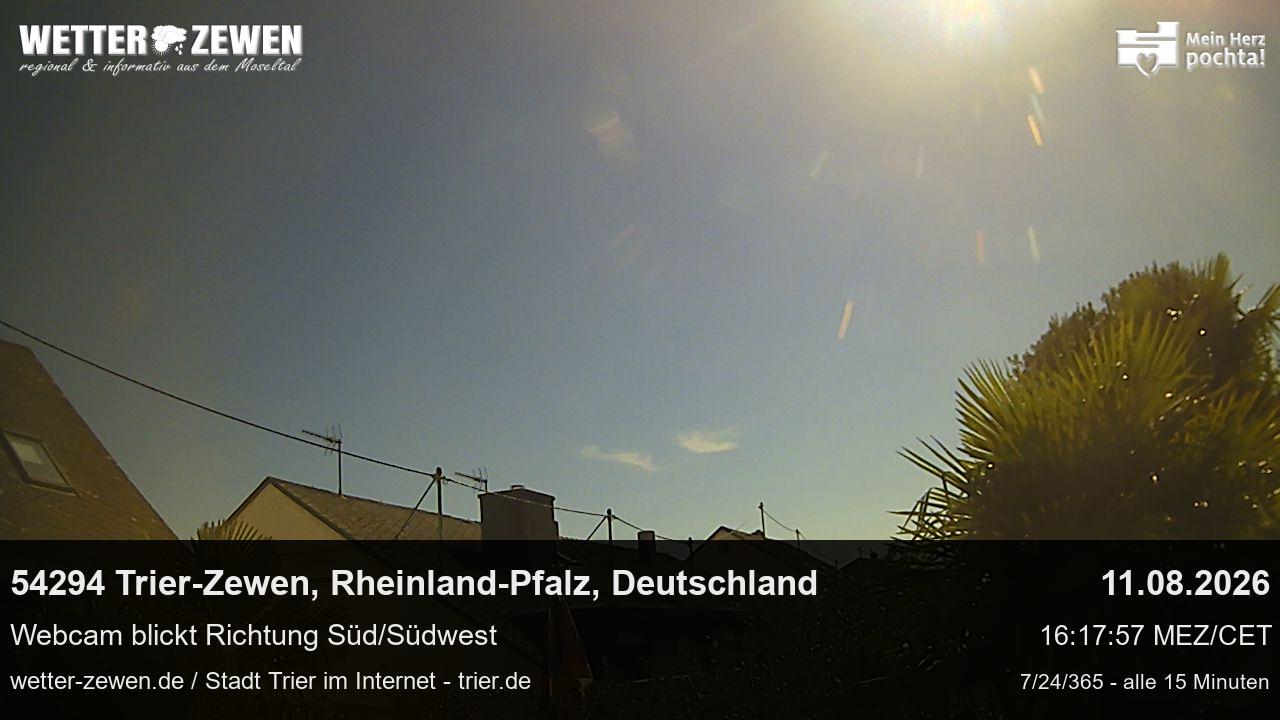 Bild