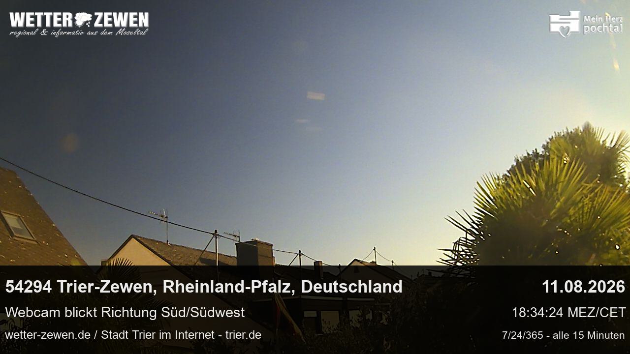 Bild