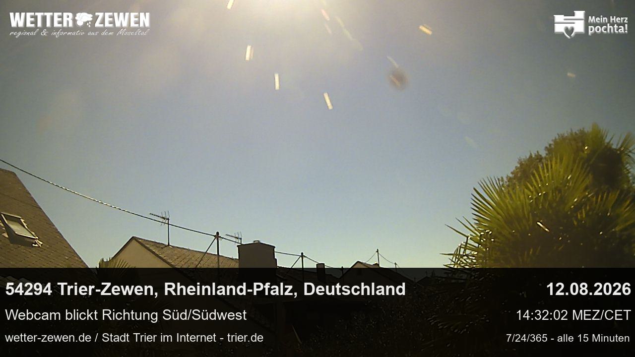 Bild