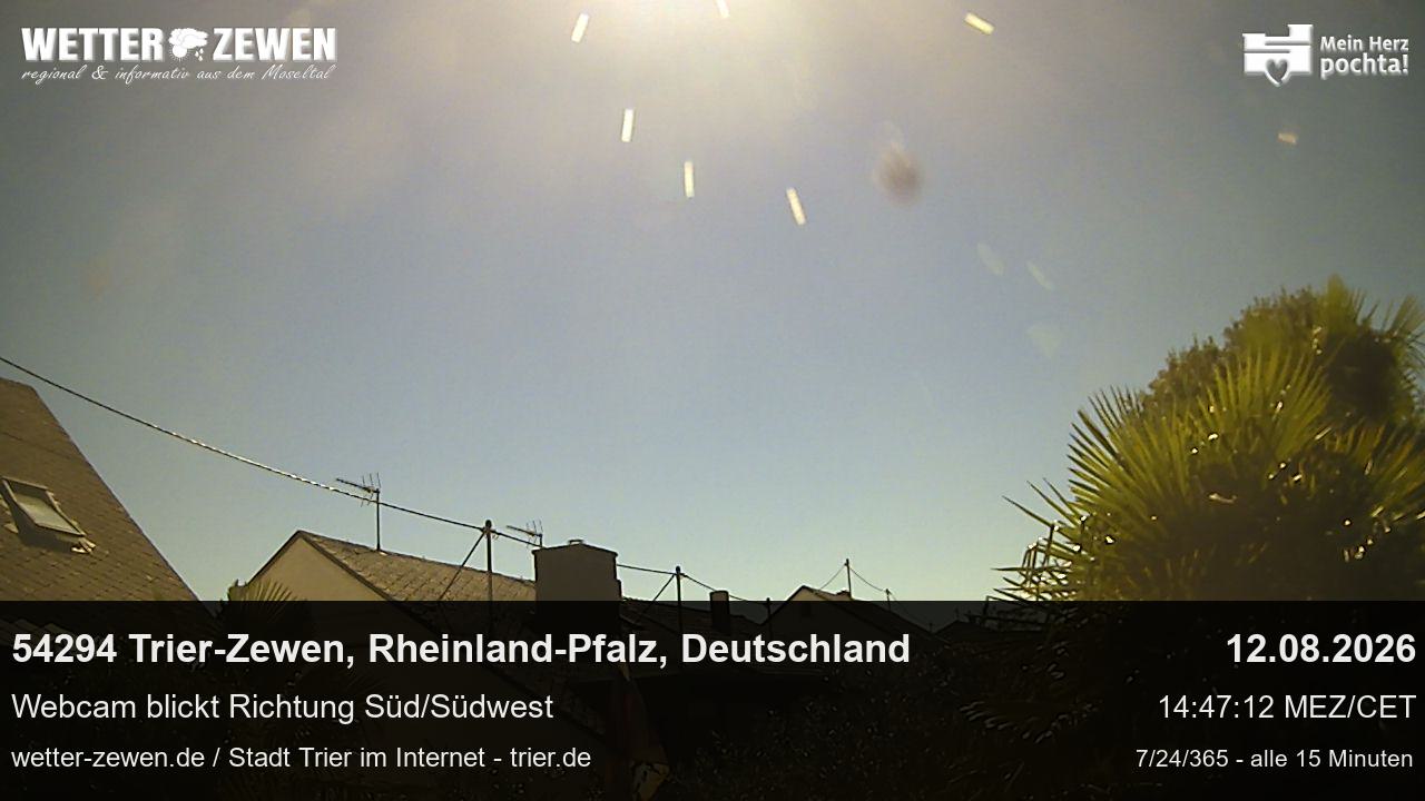Bild