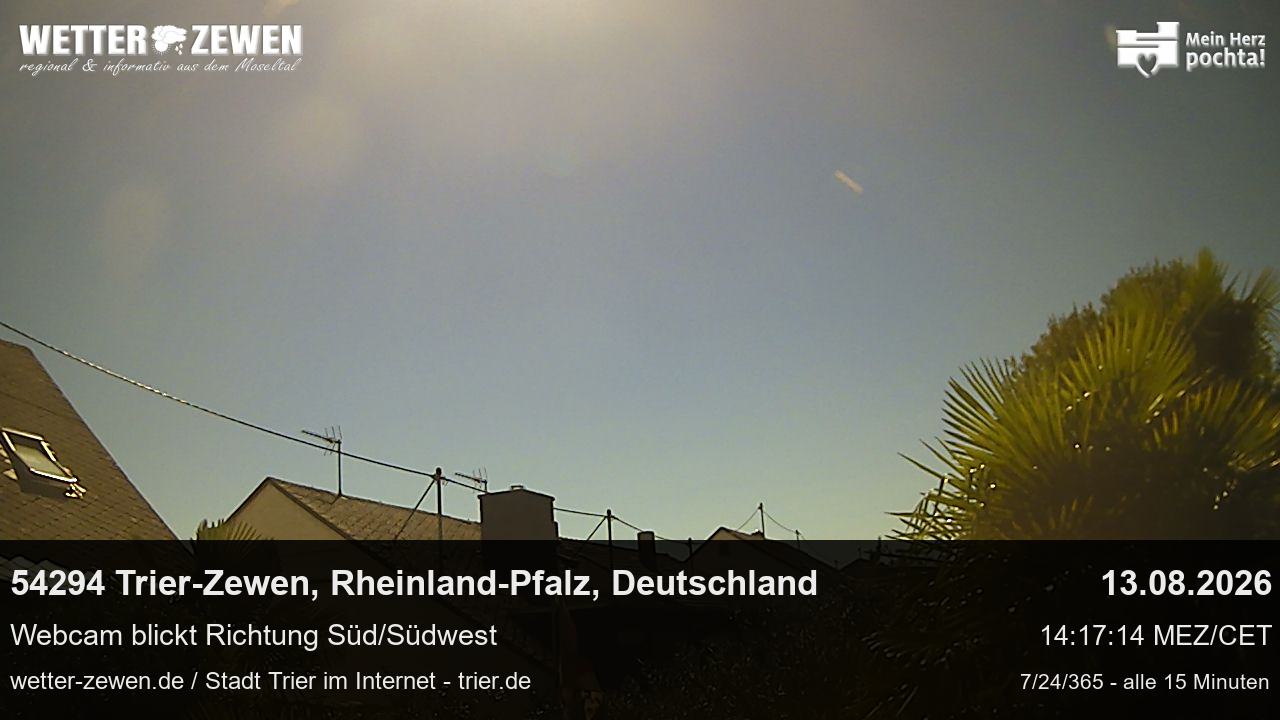 Bild