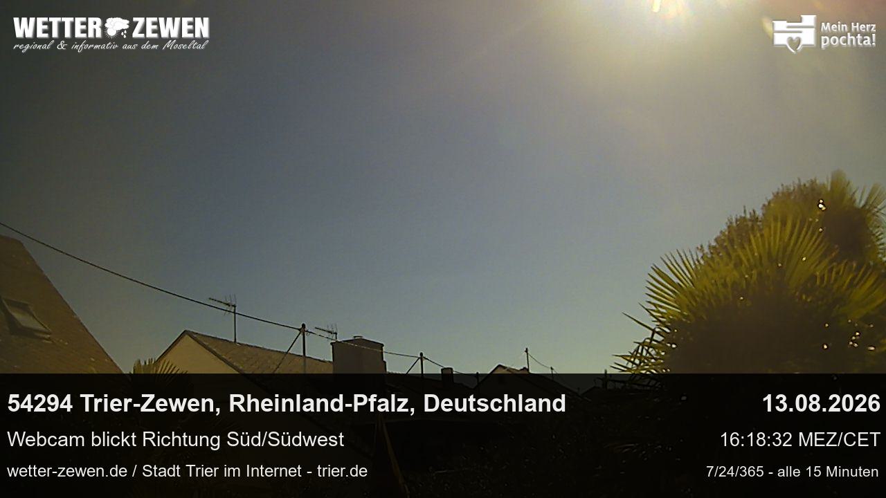 Bild