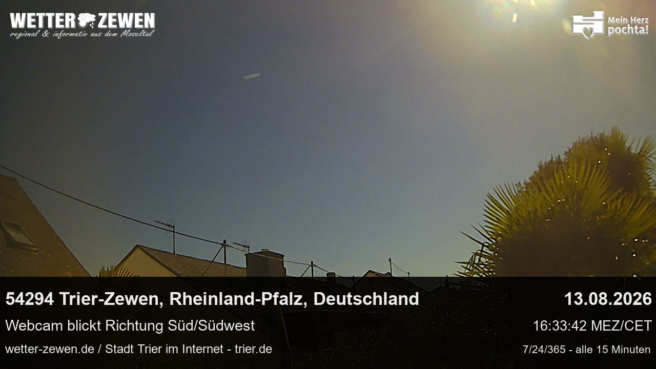 Bild