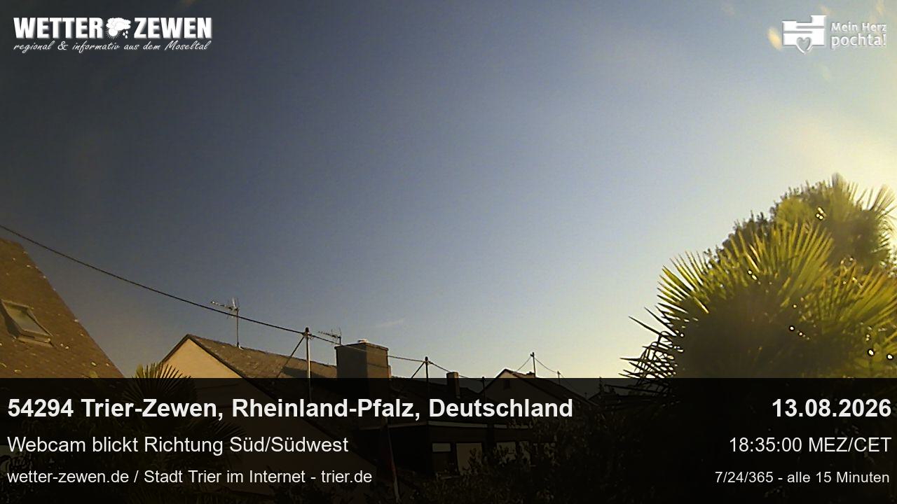 Bild
