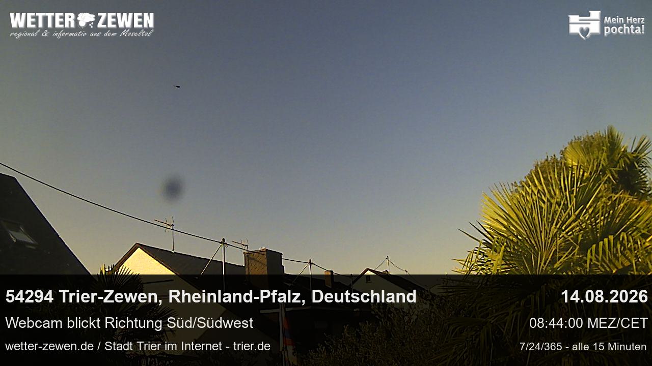 Bild