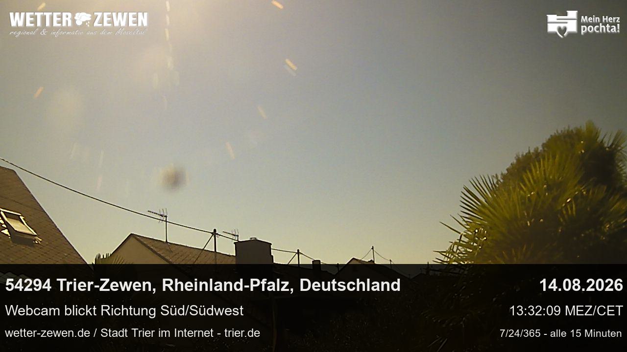 Bild