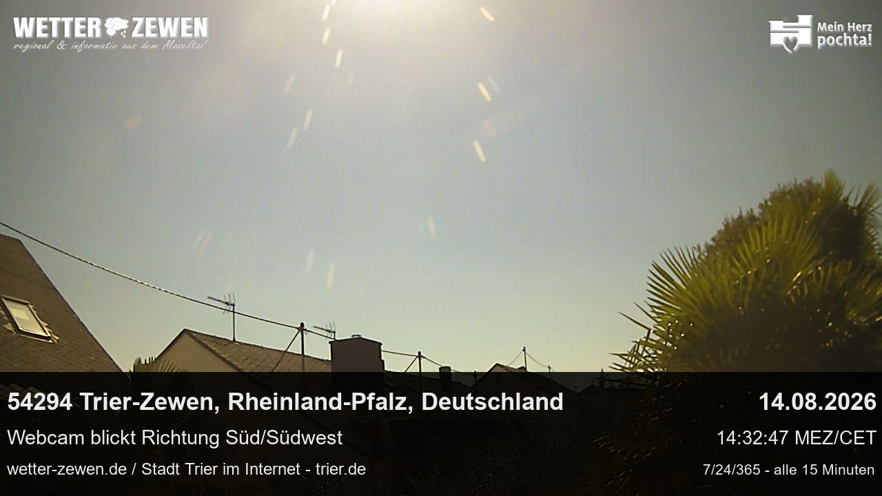 Bild