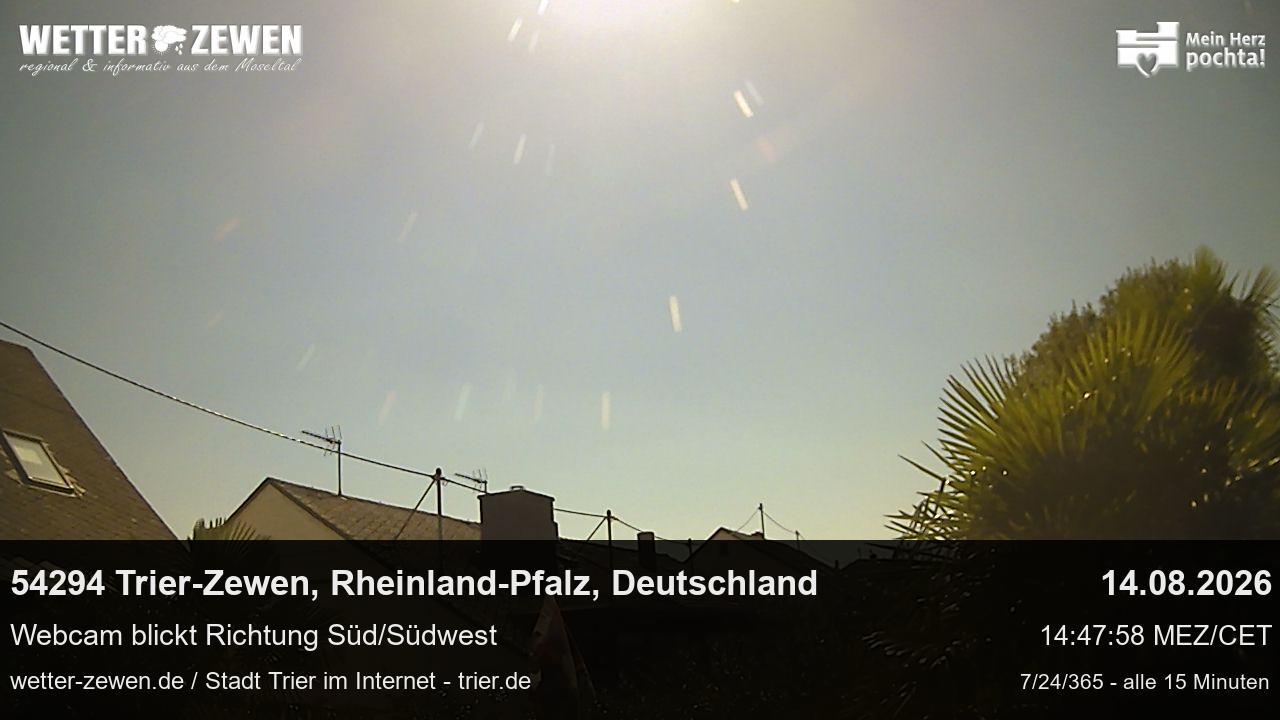Bild