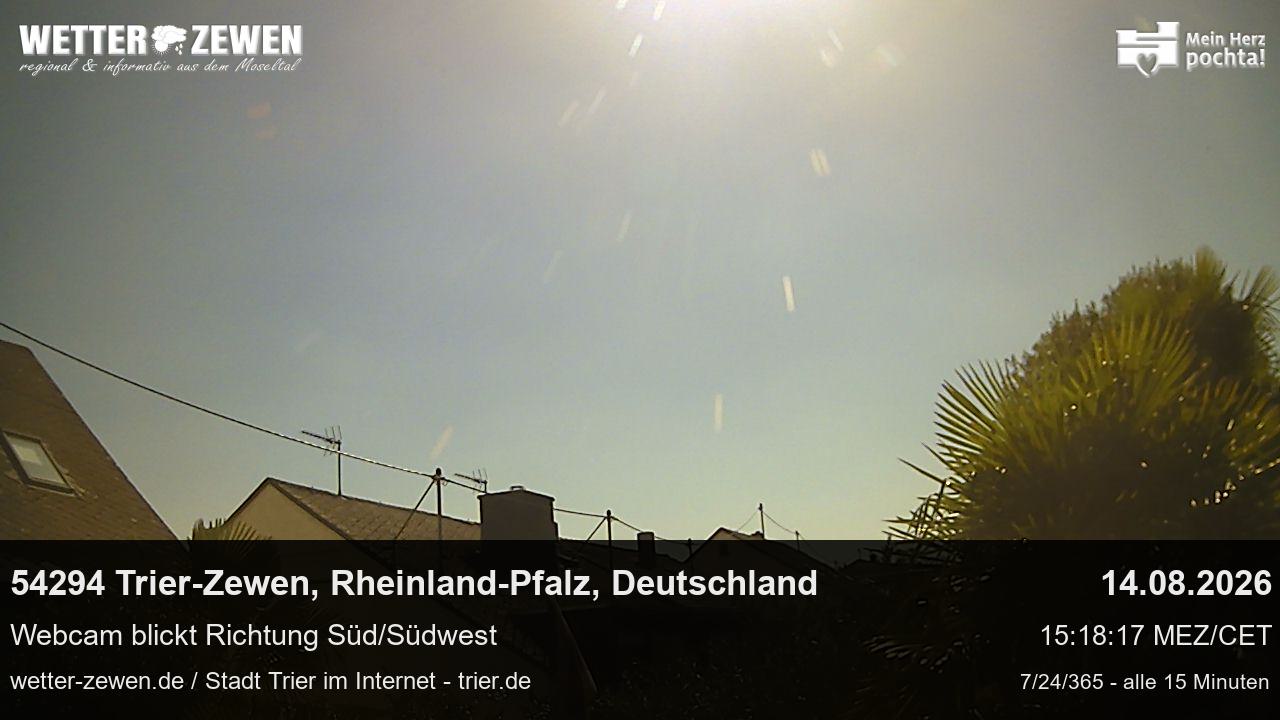 Bild