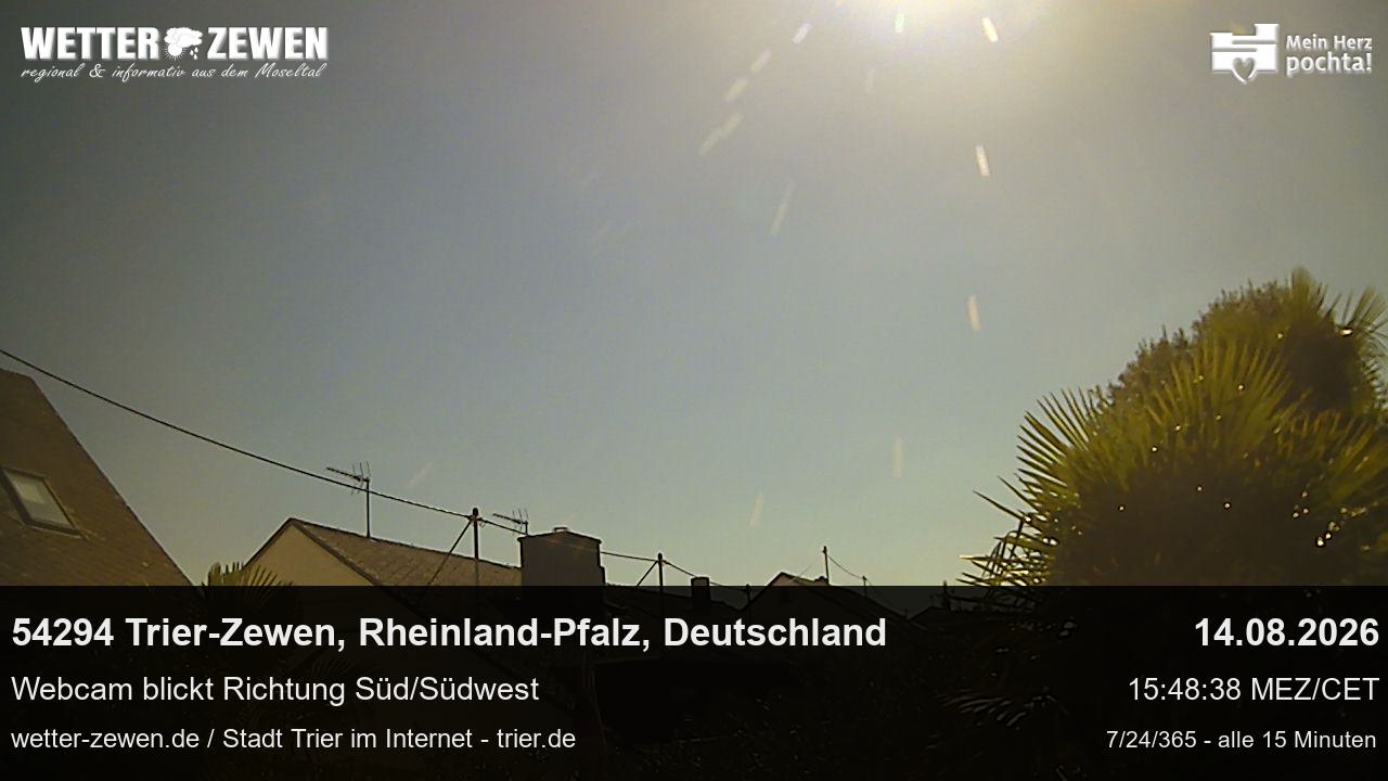 Bild