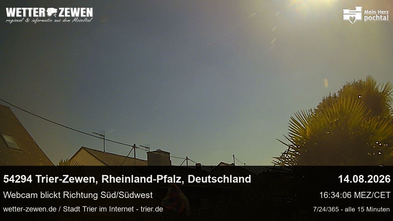 Bild