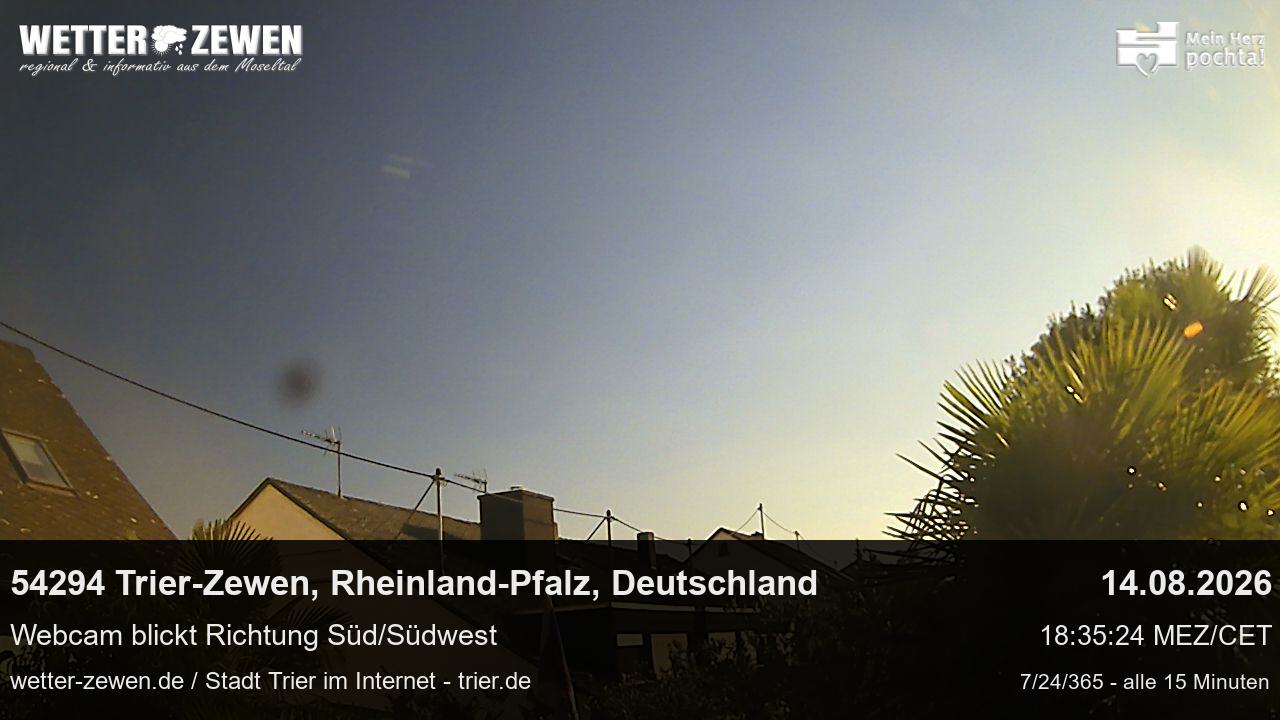 Bild