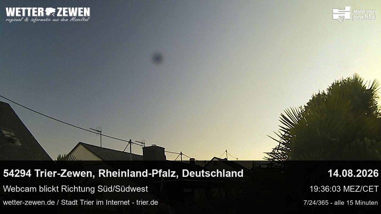 Bild