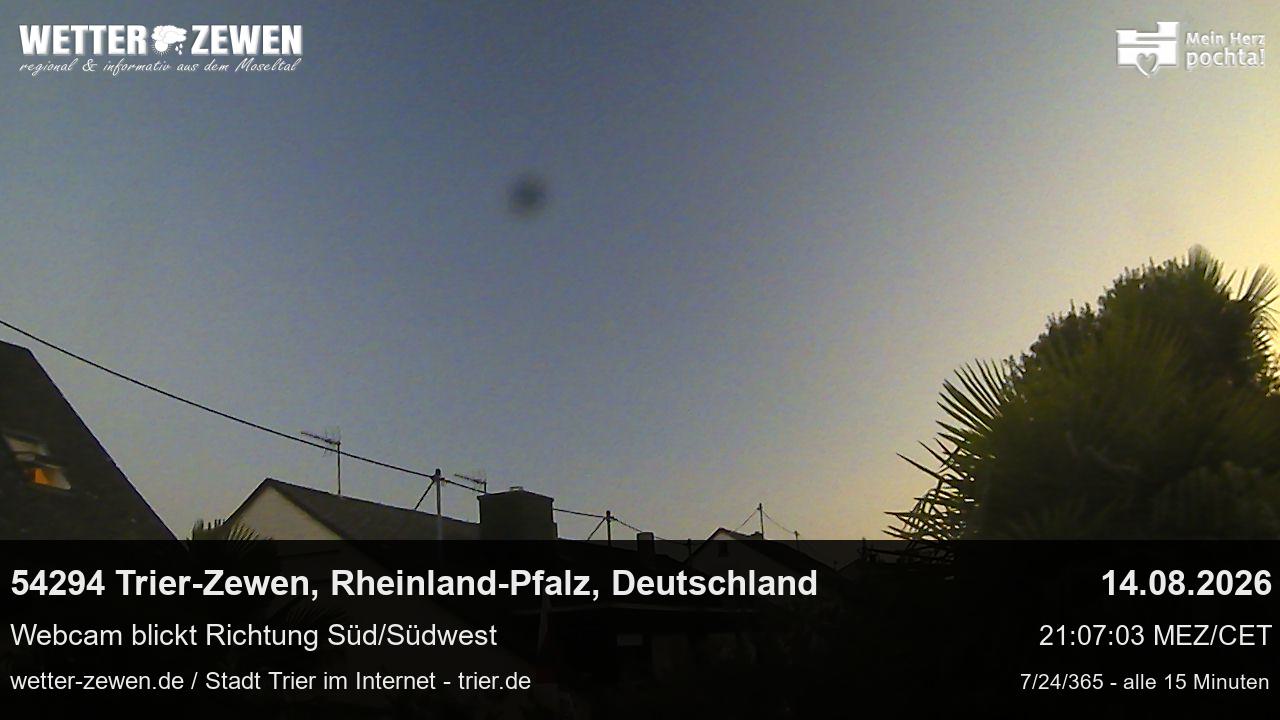 Bild