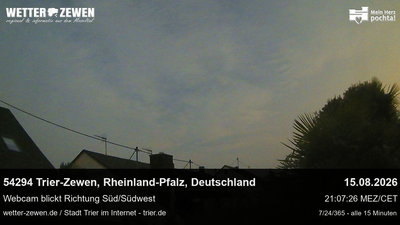 Bild