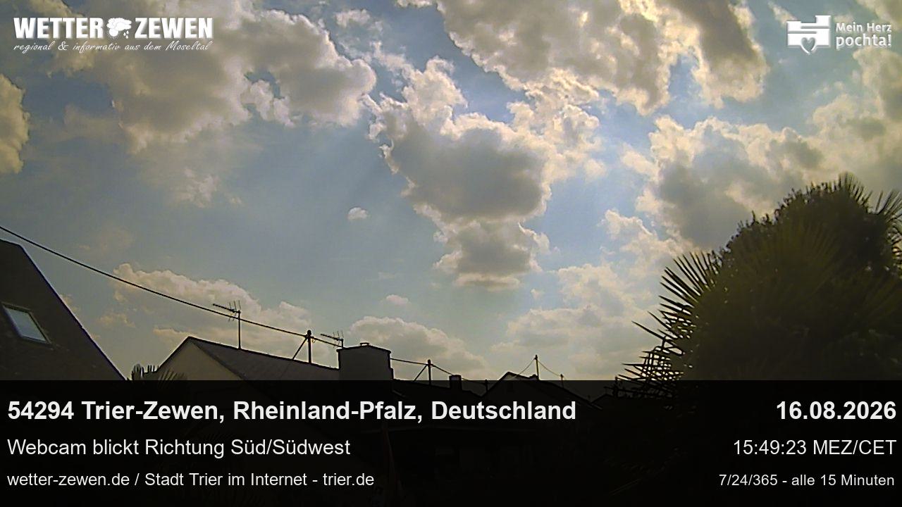 Bild
