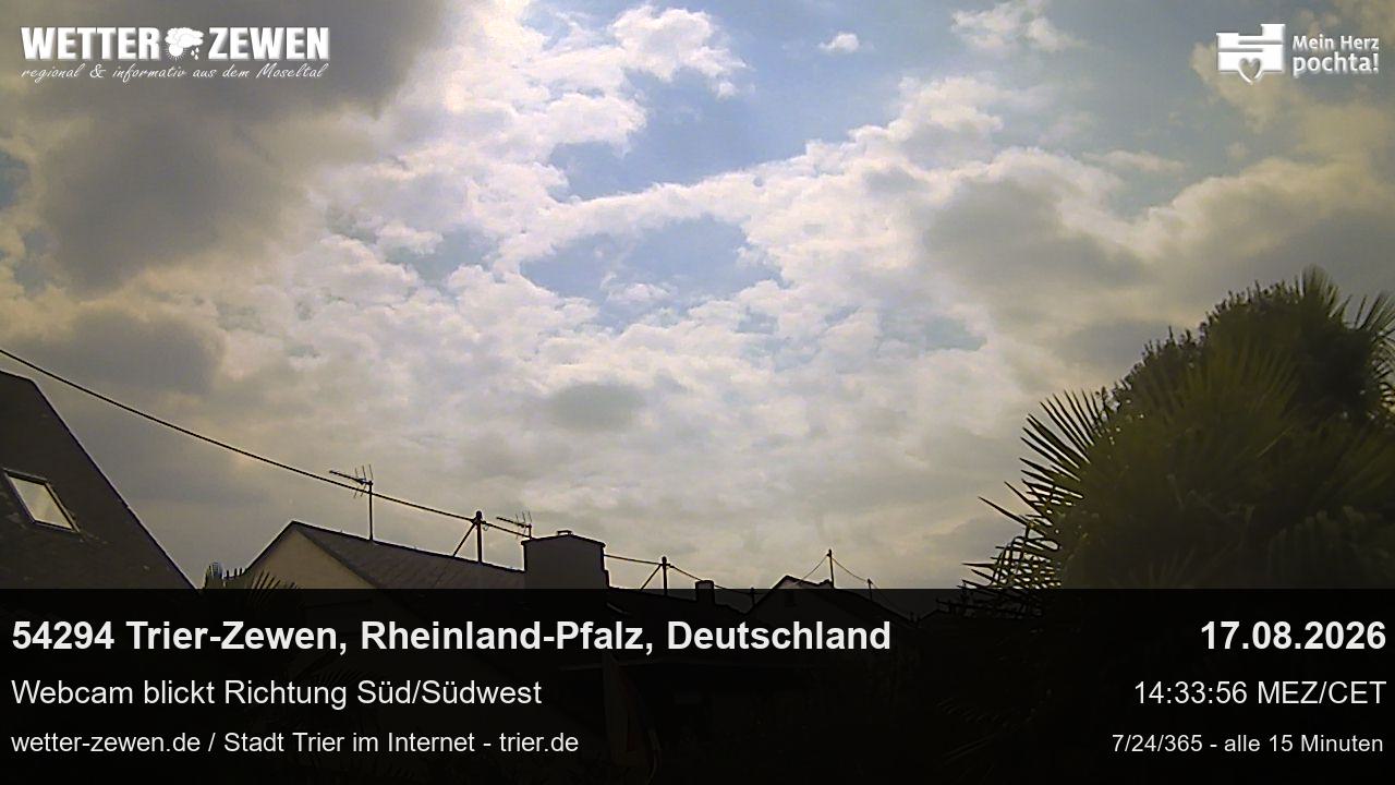 Bild