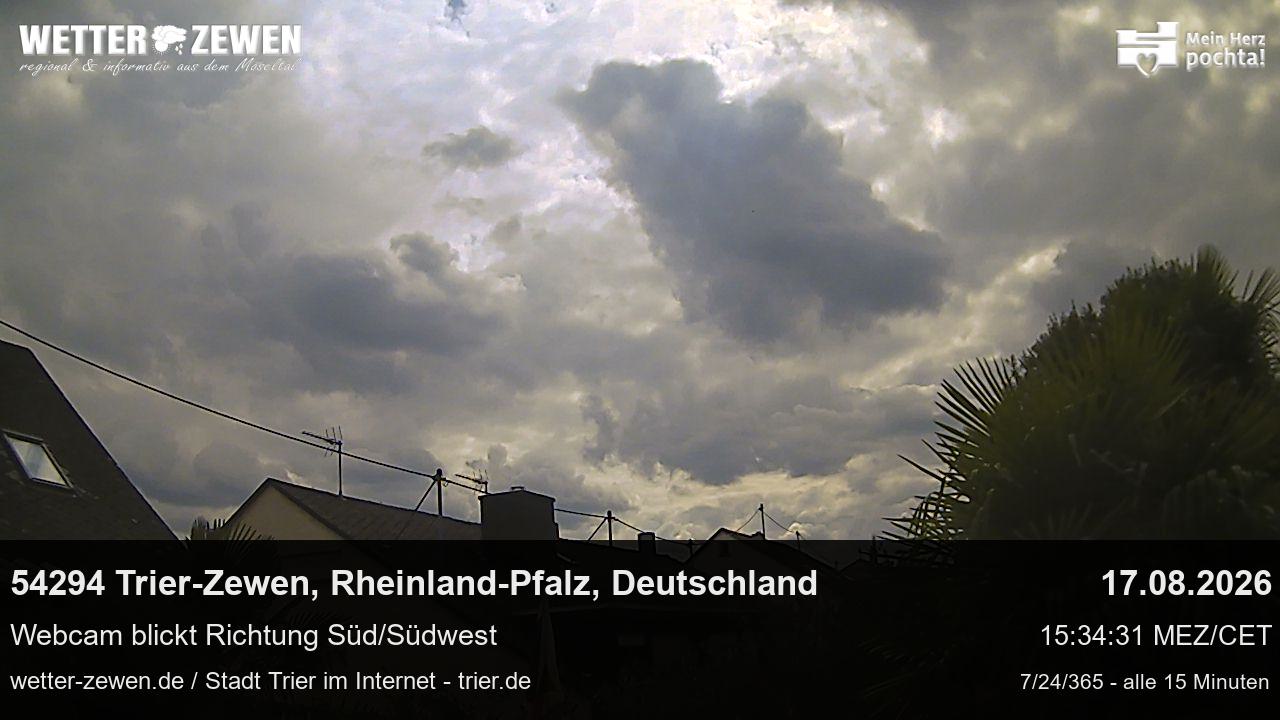 Bild