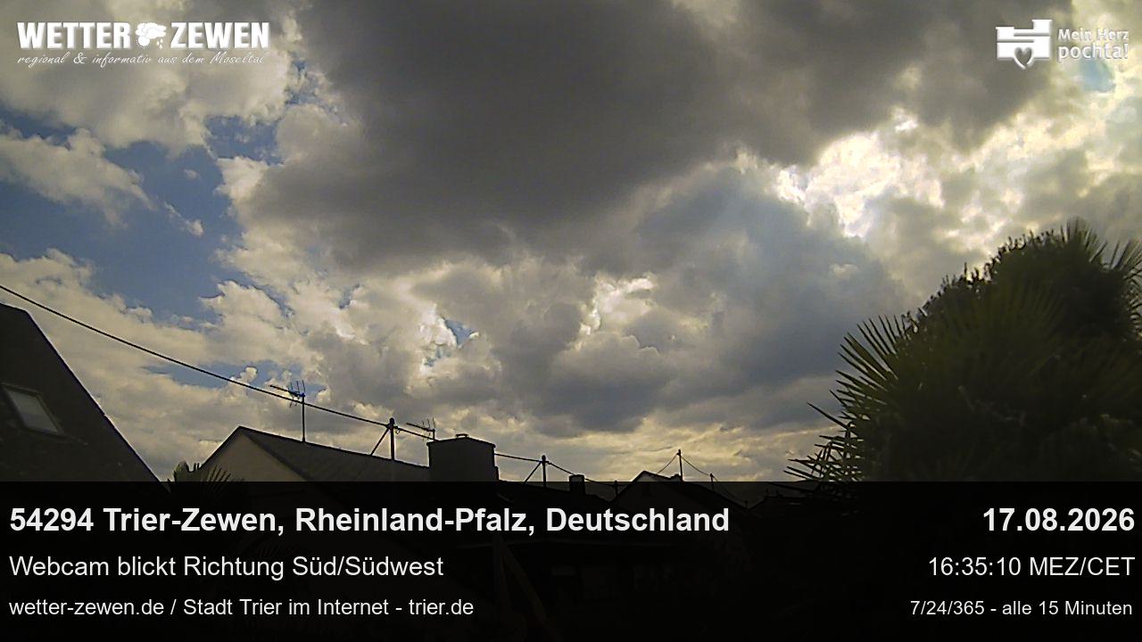 Bild