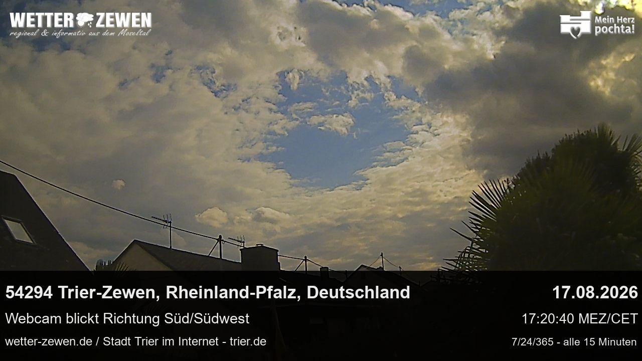 Bild