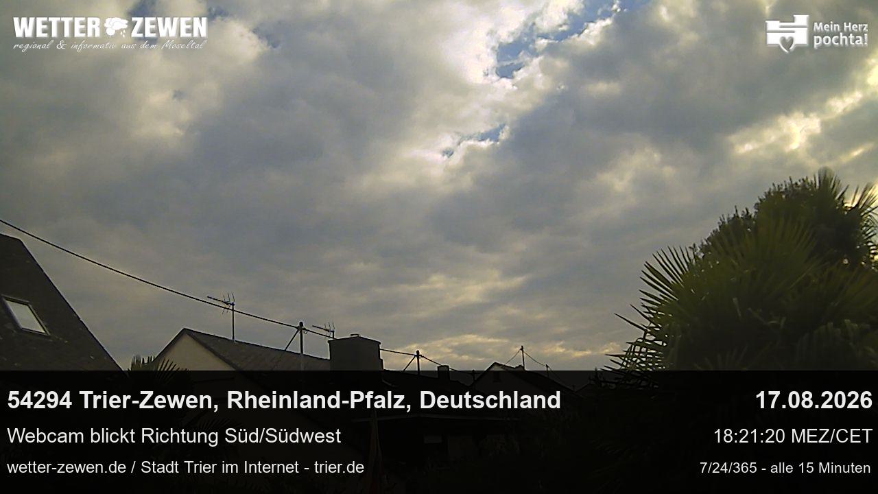 Bild