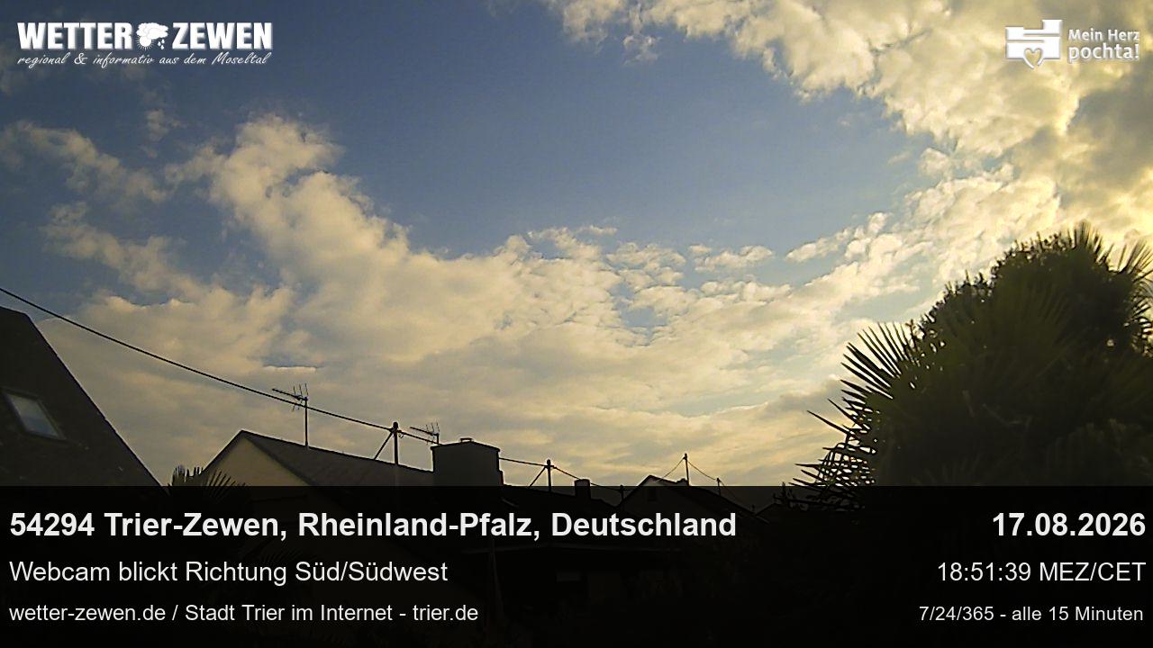 Bild