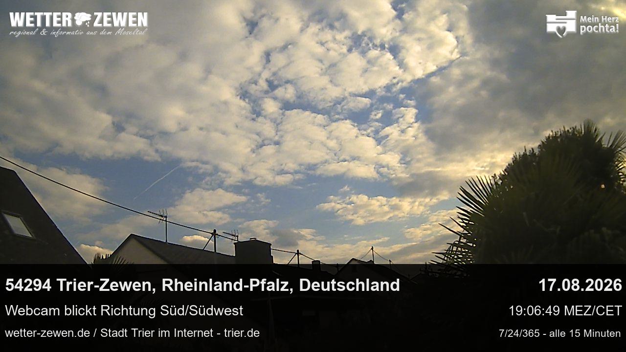 Bild