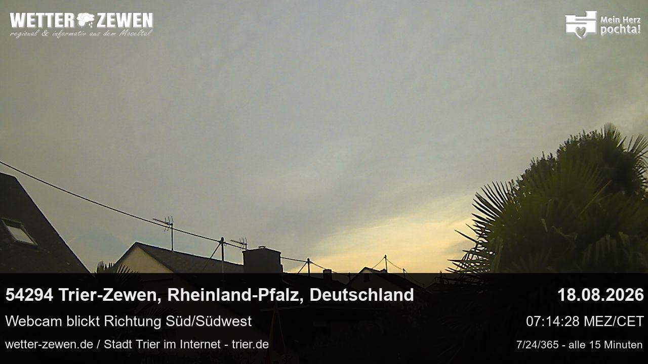 Bild