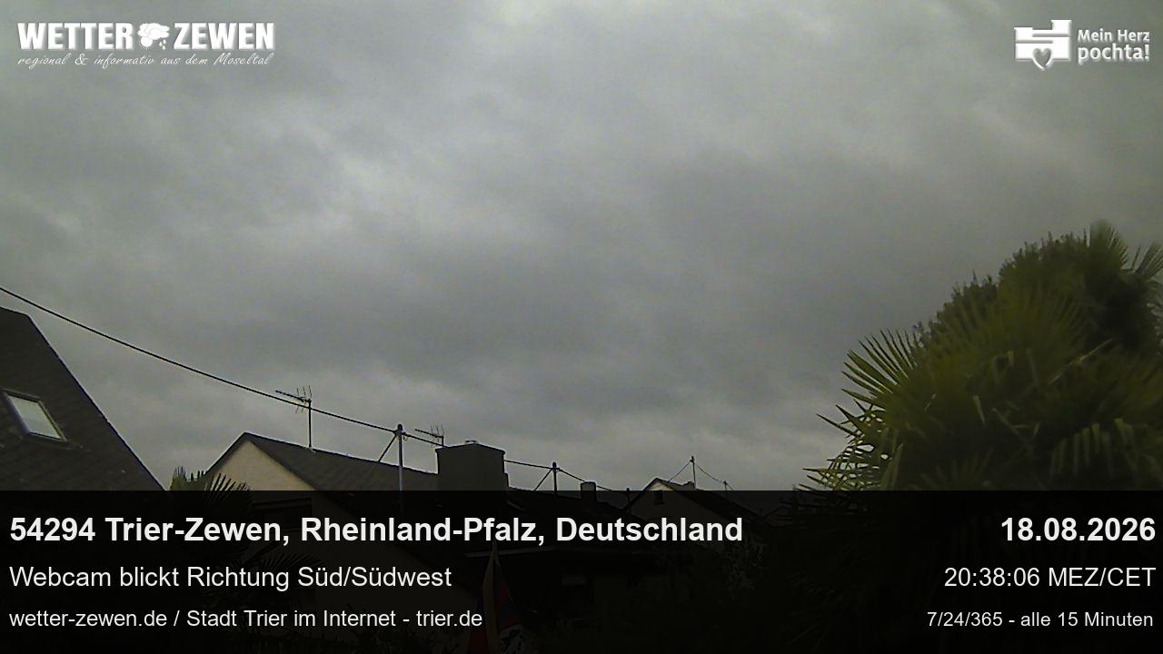 Bild